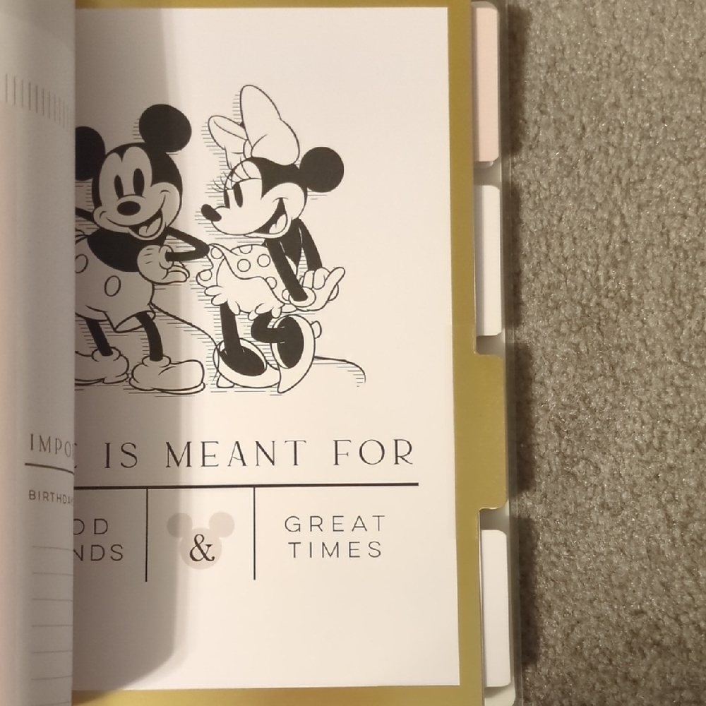 Disney The Happy Planner Mickey & Minnie Hardcover GratituPlanner - White & Gold - Picture 8 of 10